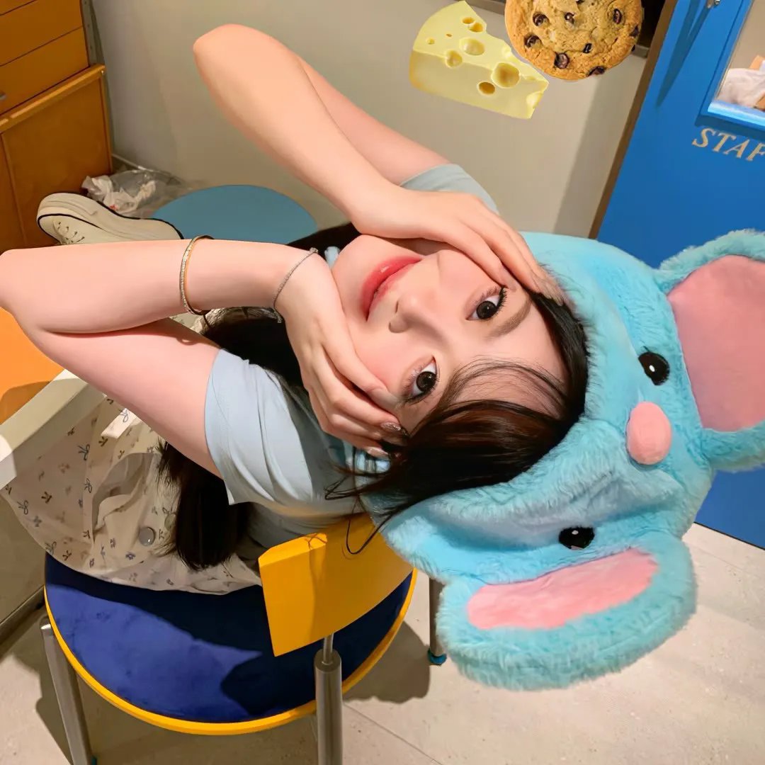 我们不属于这里